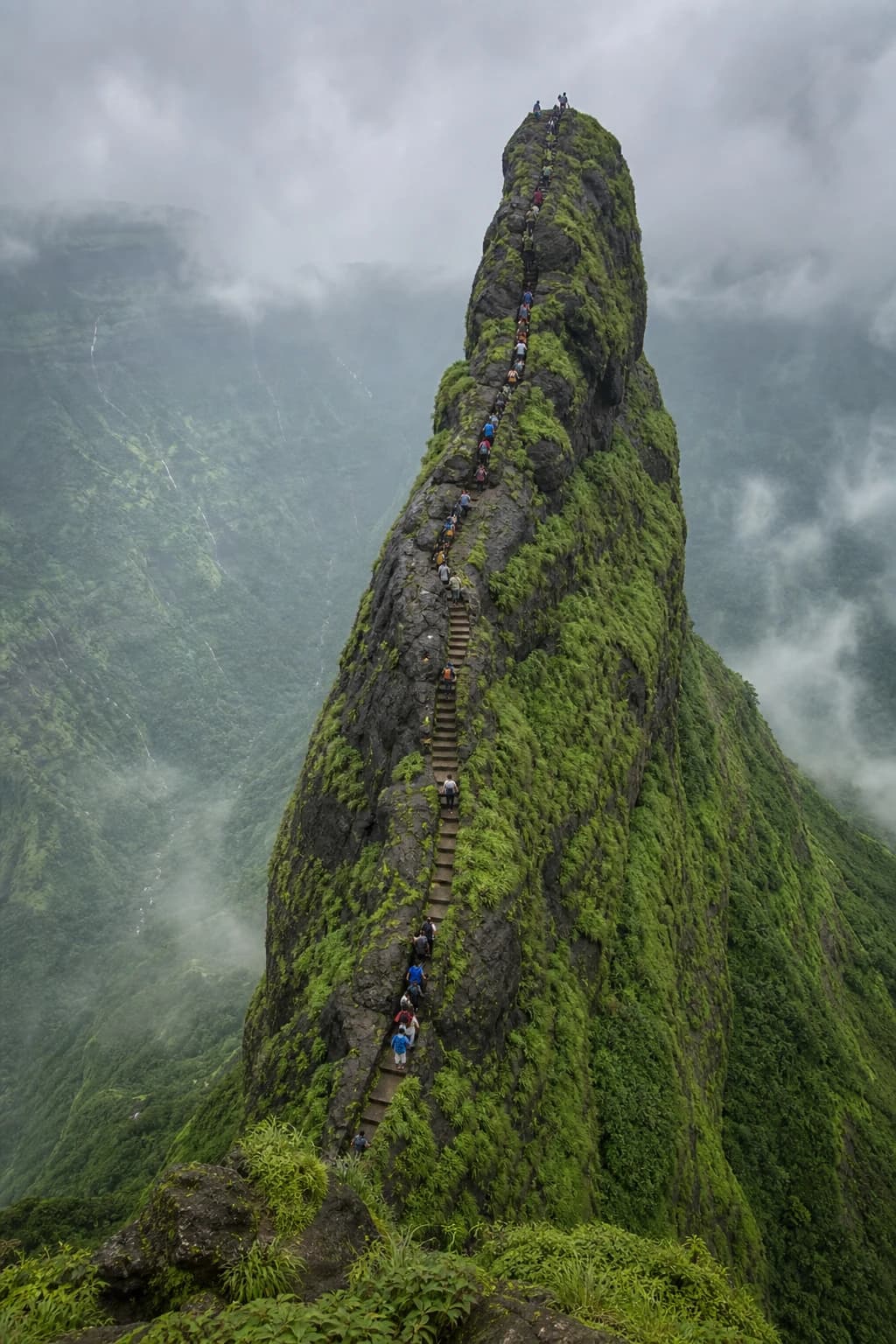 Kalavantin drurg Trek