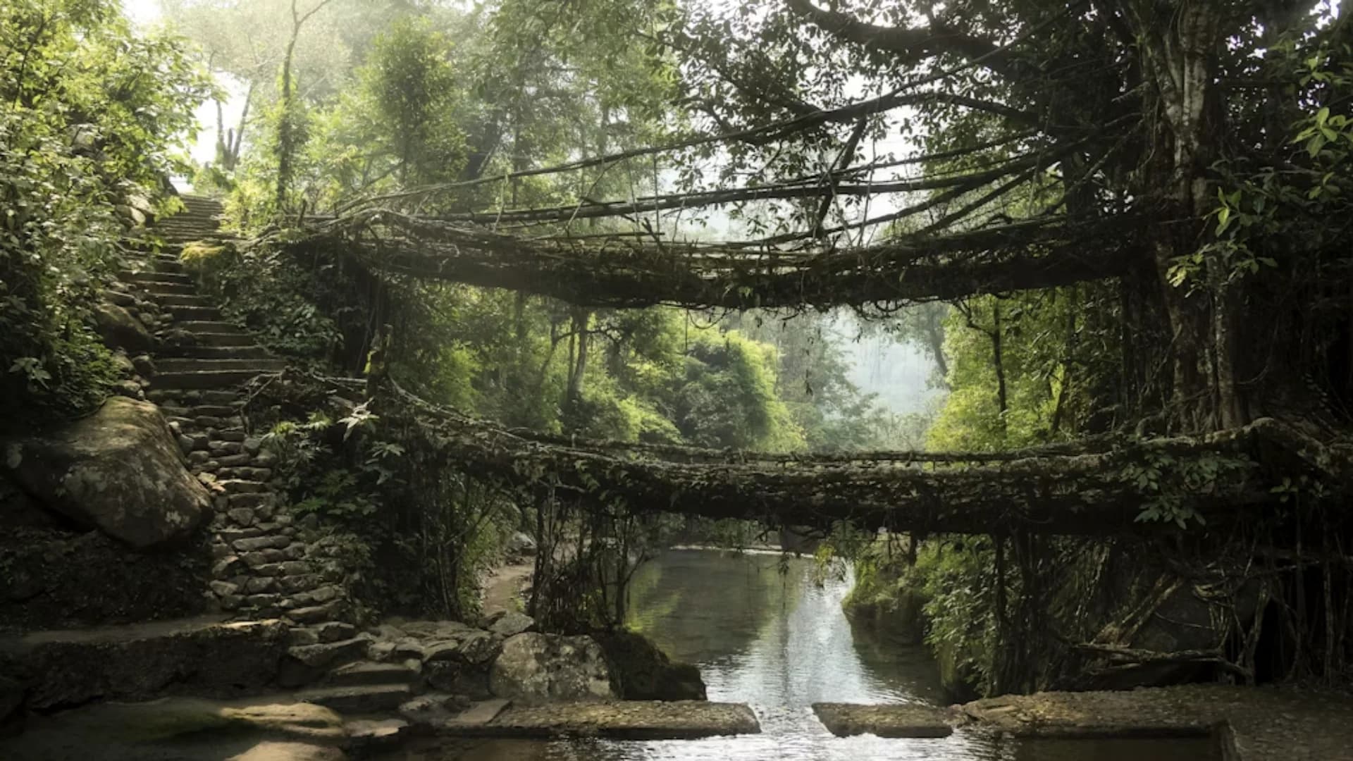 Meghalaya – Abode Of Clouds